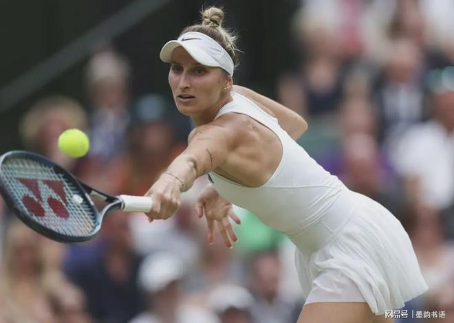 但也提出了 但也提出了