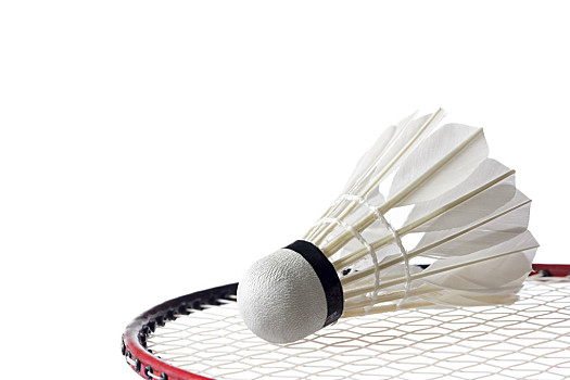 导致视野与 导致视野与